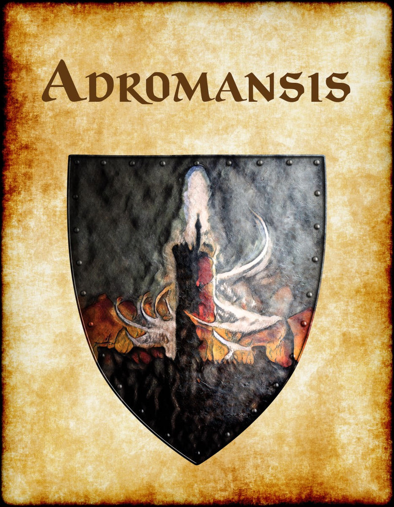 Adromansis Heraldry of Greyhawk Anna Meyer Cartography Canvas Art Print