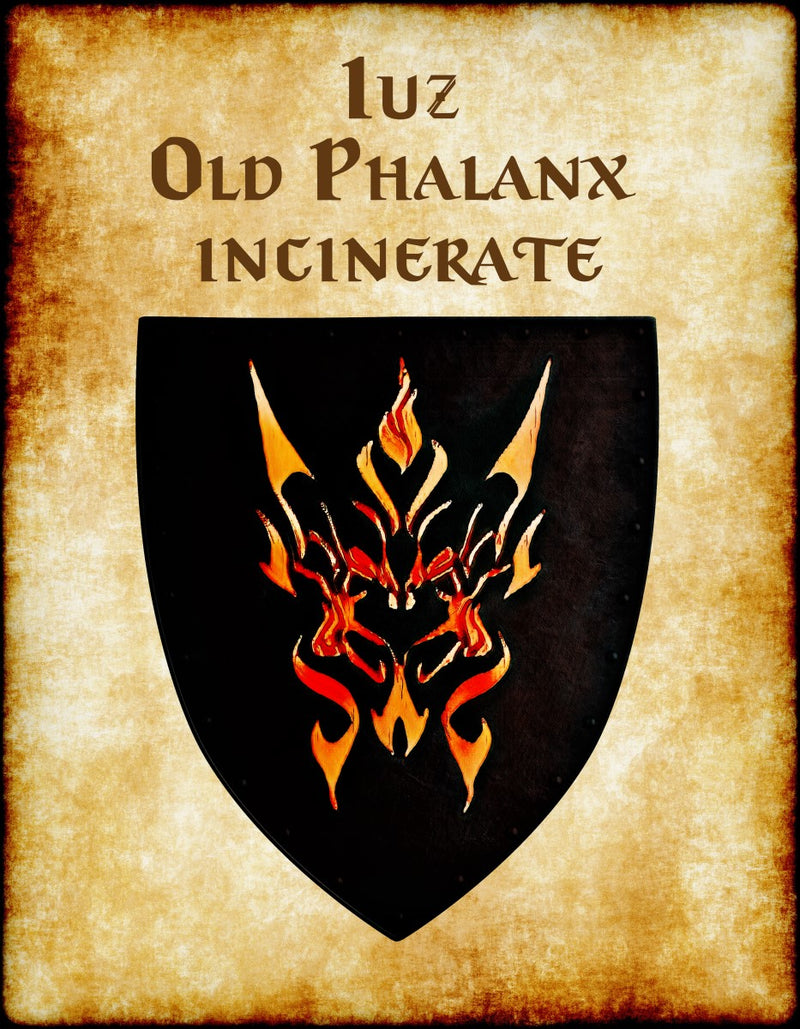 Iuz -Old Phalanx Incinerate Heraldry of Greyhawk Anna Meyer Cartography Canvas Art Print