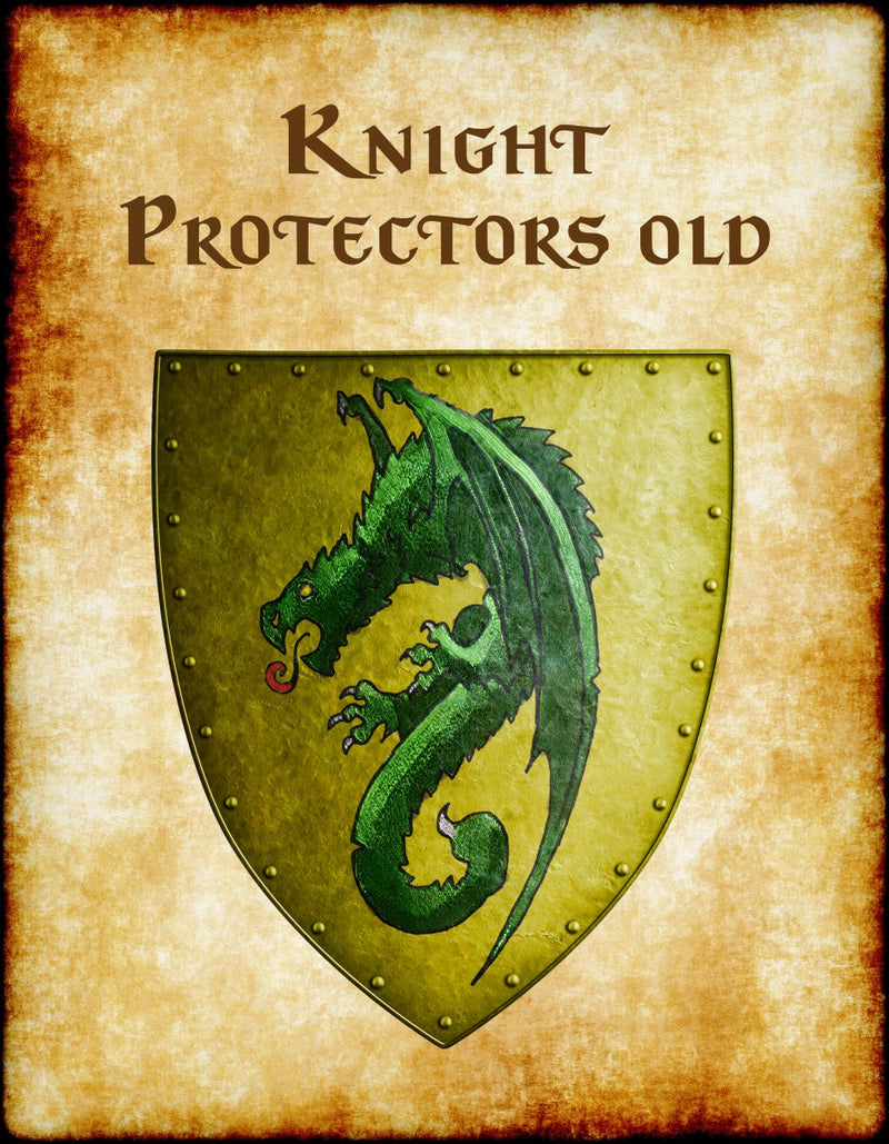 Knight Protectors Old Heraldry of Greyhawk Anna Meyer Cartography Canvas Art Print