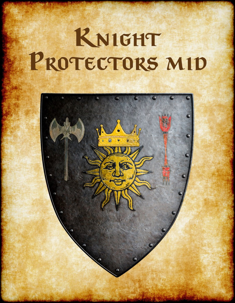 Knight Protectors Mid Heraldry of Greyhawk Anna Meyer Cartography Canvas Art Print