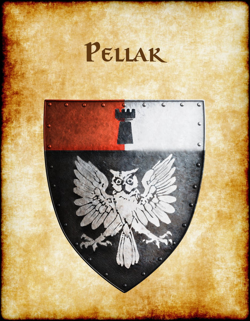 Pellak Heraldry of Greyhawk Anna Meyer Cartography Canvas Art Print