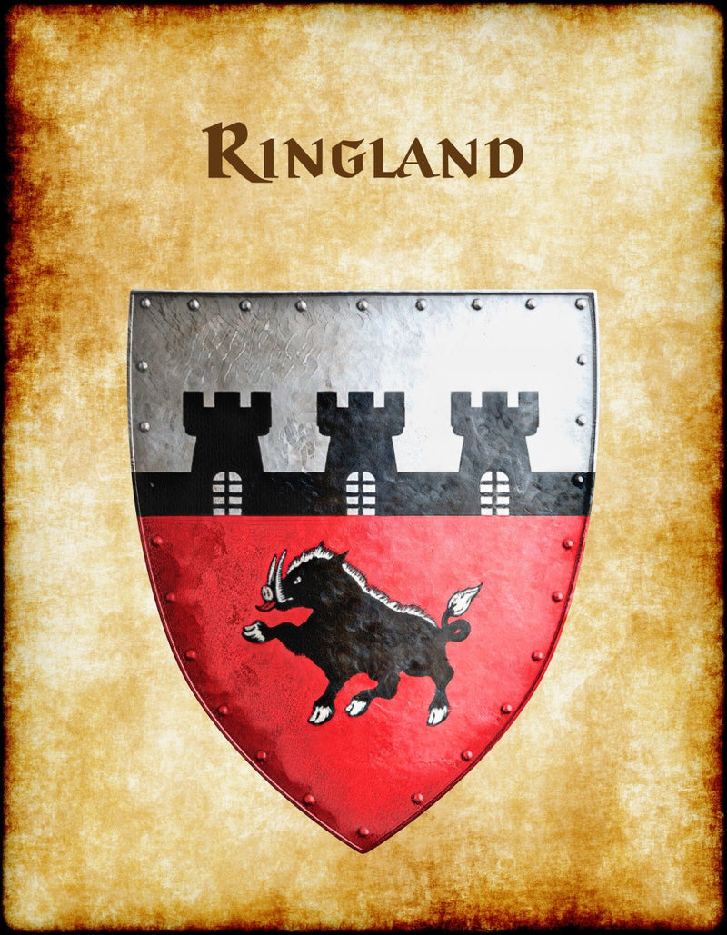 Ringland Heraldry of Greyhawk Anna Meyer Cartography Canvas Art Print