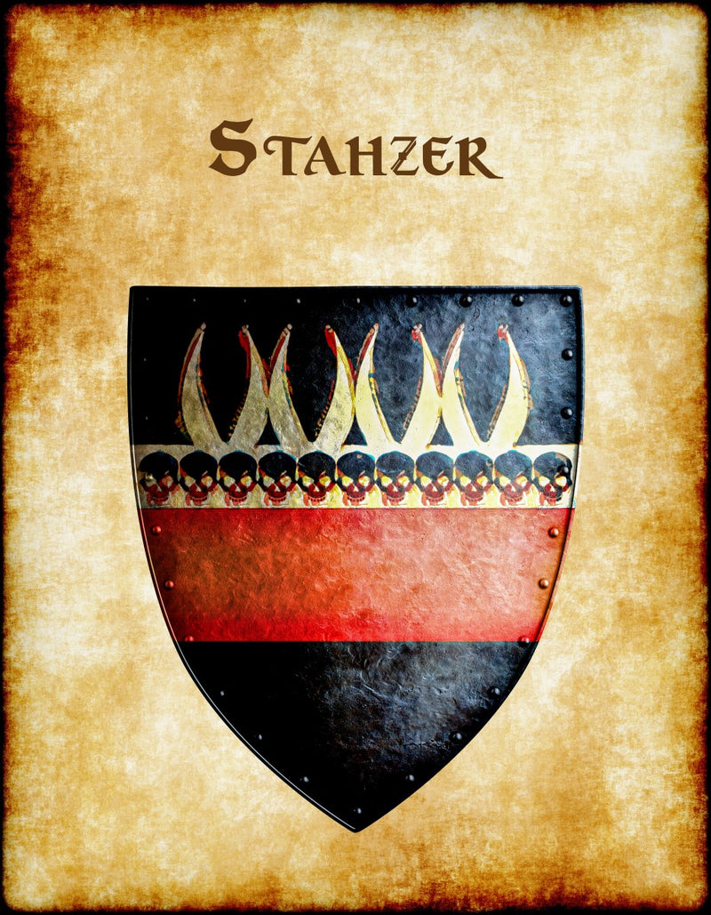 Stahzer Heraldry of Greyhawk Anna Meyer Cartography Canvas Art Print