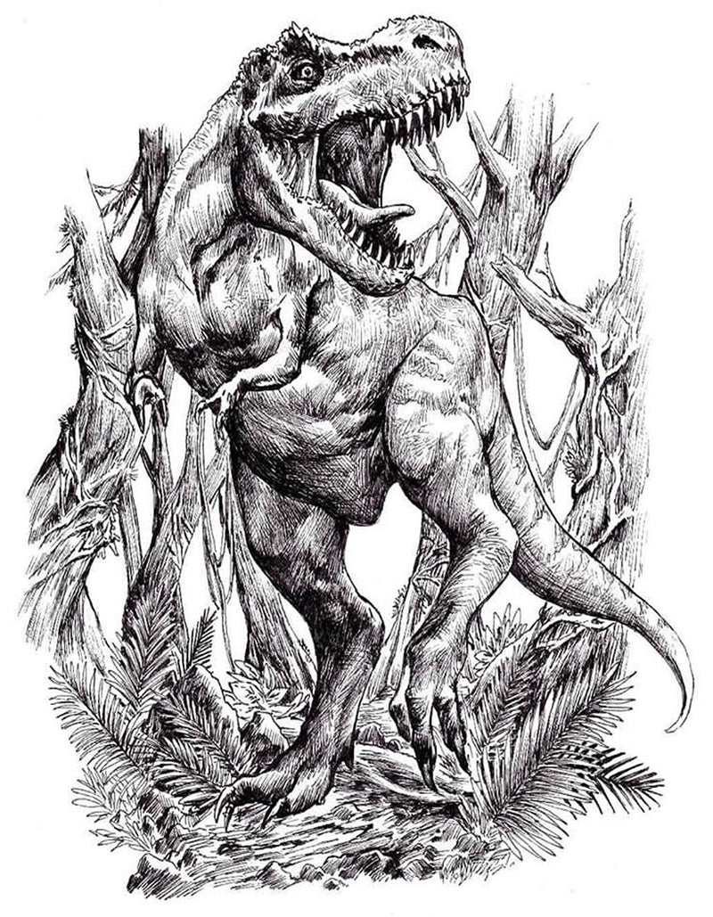 TRex Gallery Canvas Art Print