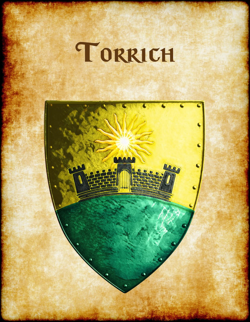 Torrich Heraldry of Greyhawk Anna Meyer Cartography Canvas Art Print