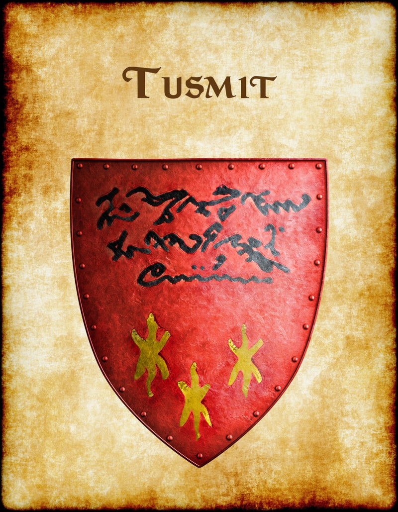 Tusmit Heraldry of Greyhawk Anna Meyer Cartography Canvas Art Print