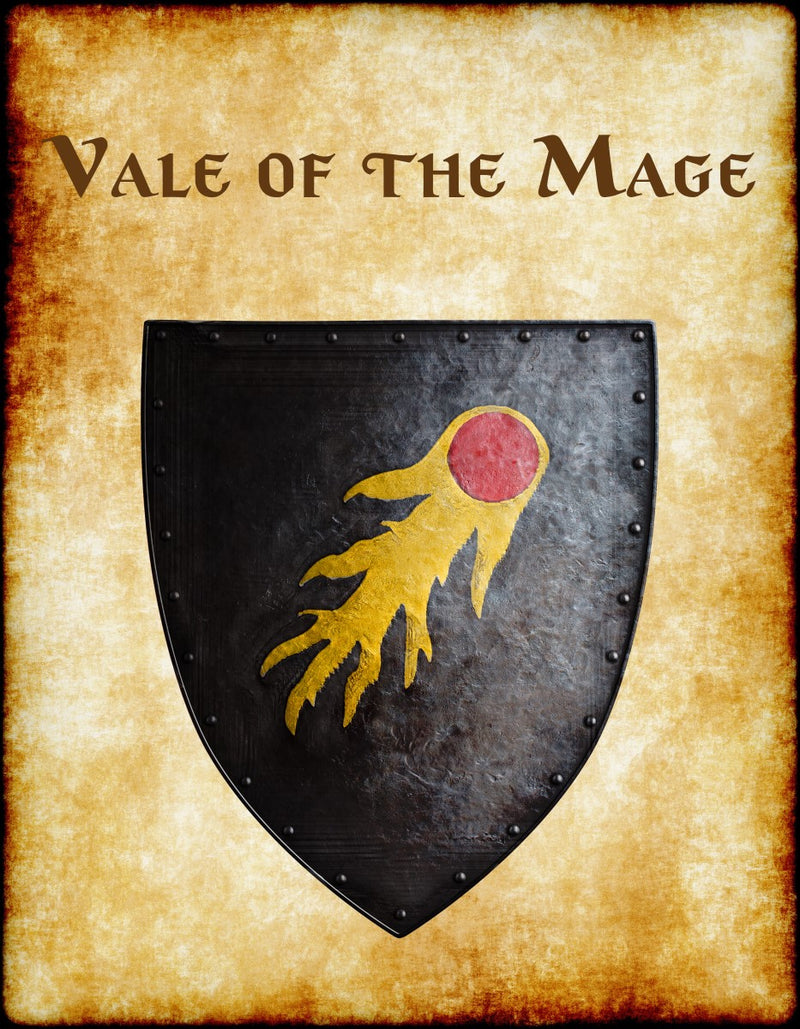 Vale of the Mage Heraldry of Greyhawk Anna Meyer Cartography Canvas Art Print